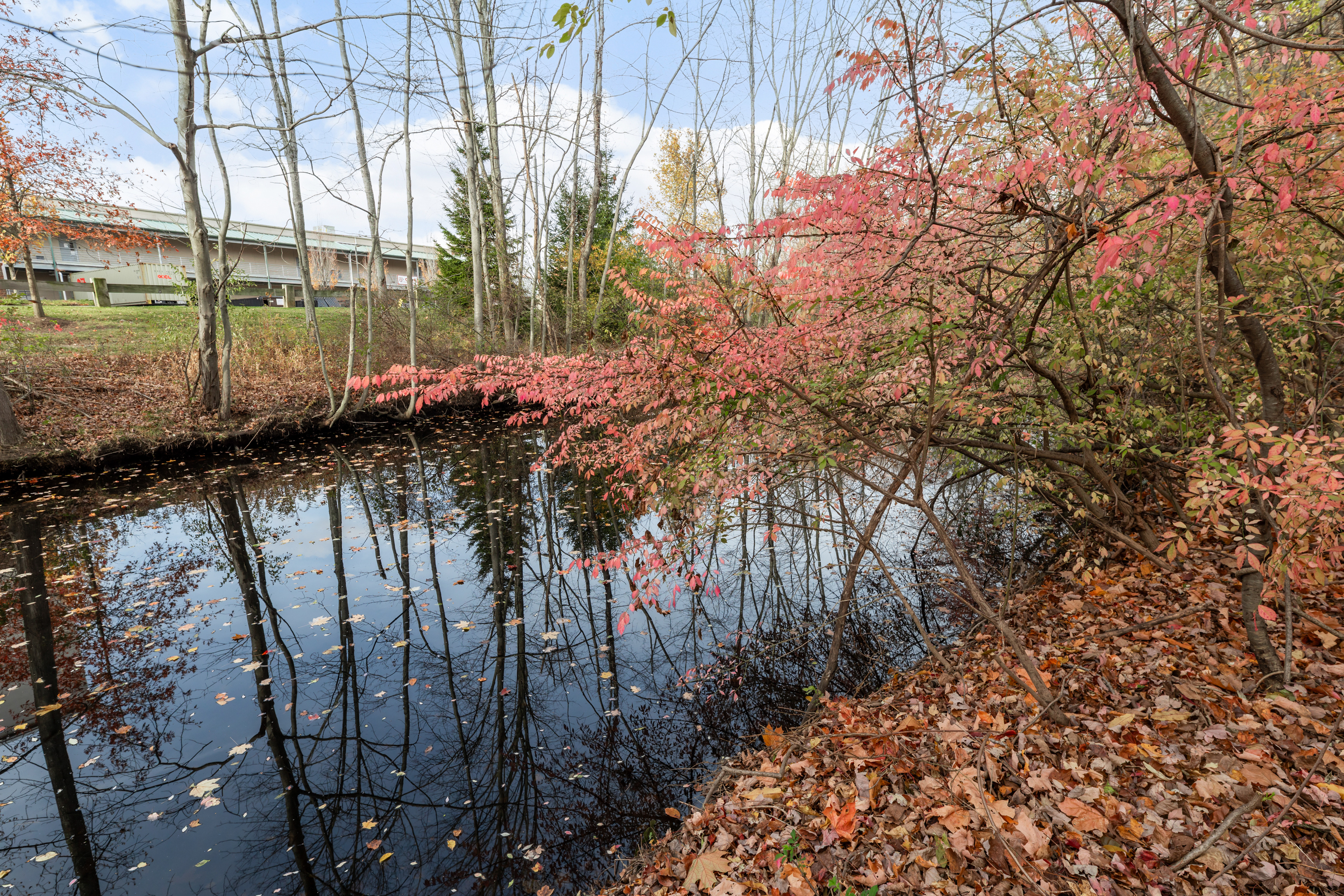 224 Roses Mill Road Milford, CT 06460 - Photo 30 of 30 a view of a lake