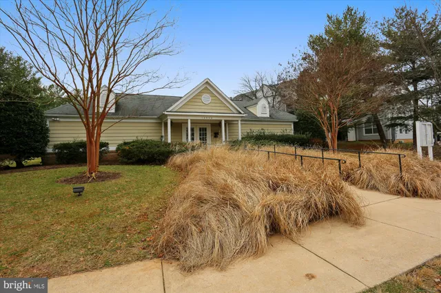 a view of mountain with large trees