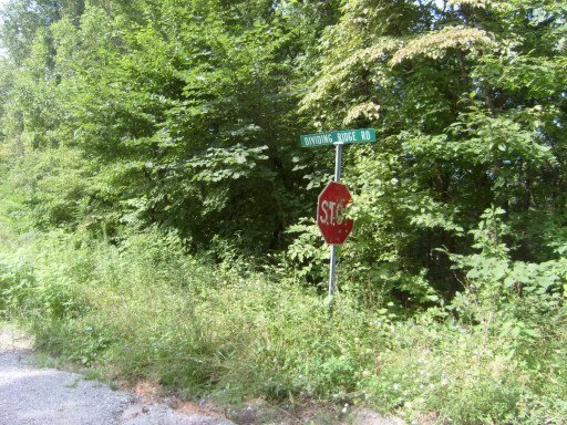 Dividing Ridge/pump Hill Speedwell, TN 37870 - Photo 1 of 5 Primary Photo