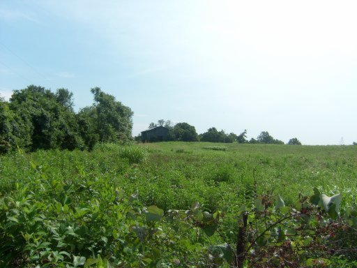 Dividing Ridge/pump Hill Speedwell, TN 37870 - Photo 2 of 5 Additional Photo