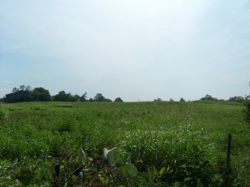 Dividing Ridge/pump Hill Speedwell, TN 37870 - Photo 3 of 5 Additional Photo