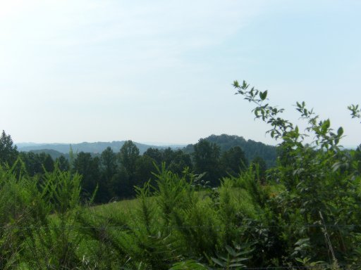 Dividing Ridge/pump Hill Speedwell, TN 37870 - Photo 5 of 5 Additional Photo