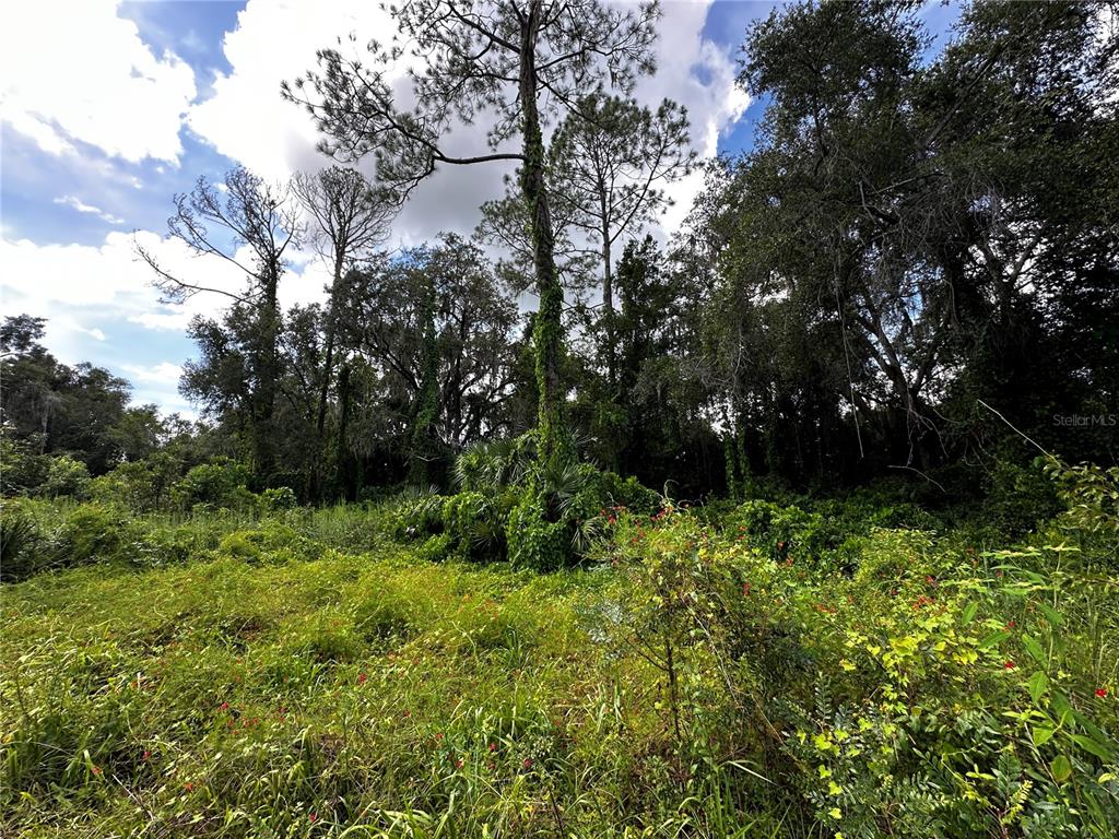 418 North Pine Street Bronson, FL 32621 - Photo 17 of 61 Gallery Image 17