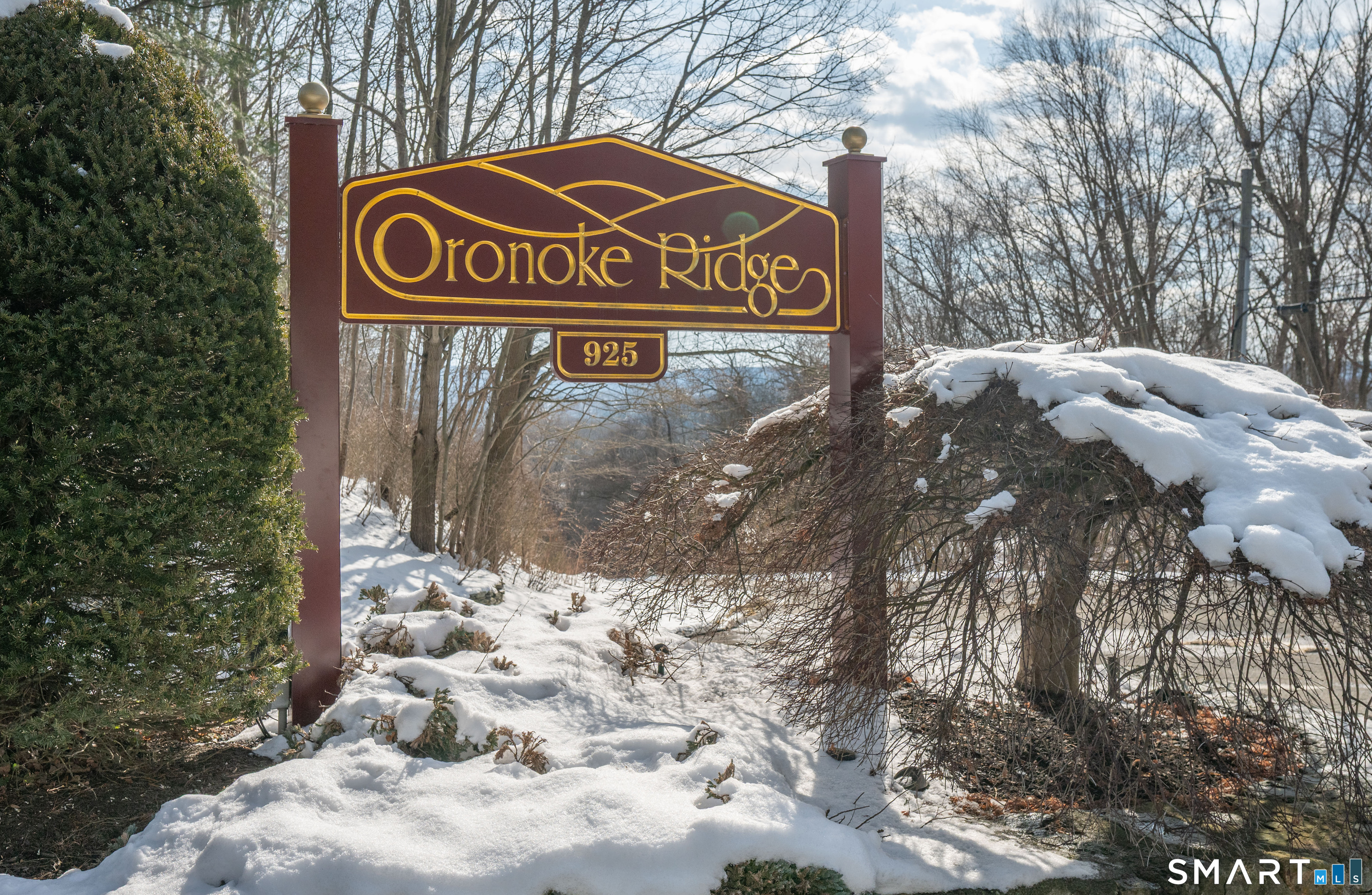 925 Oronoke Road, Unit 14F Waterbury, CT 06708 - Photo 38 of 38