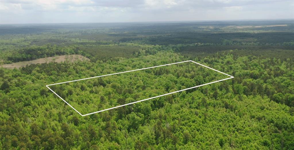 Tbd Liberty Rd Tbd Liberty Road Jefferson, TX 75657 - Photo 3 of 3