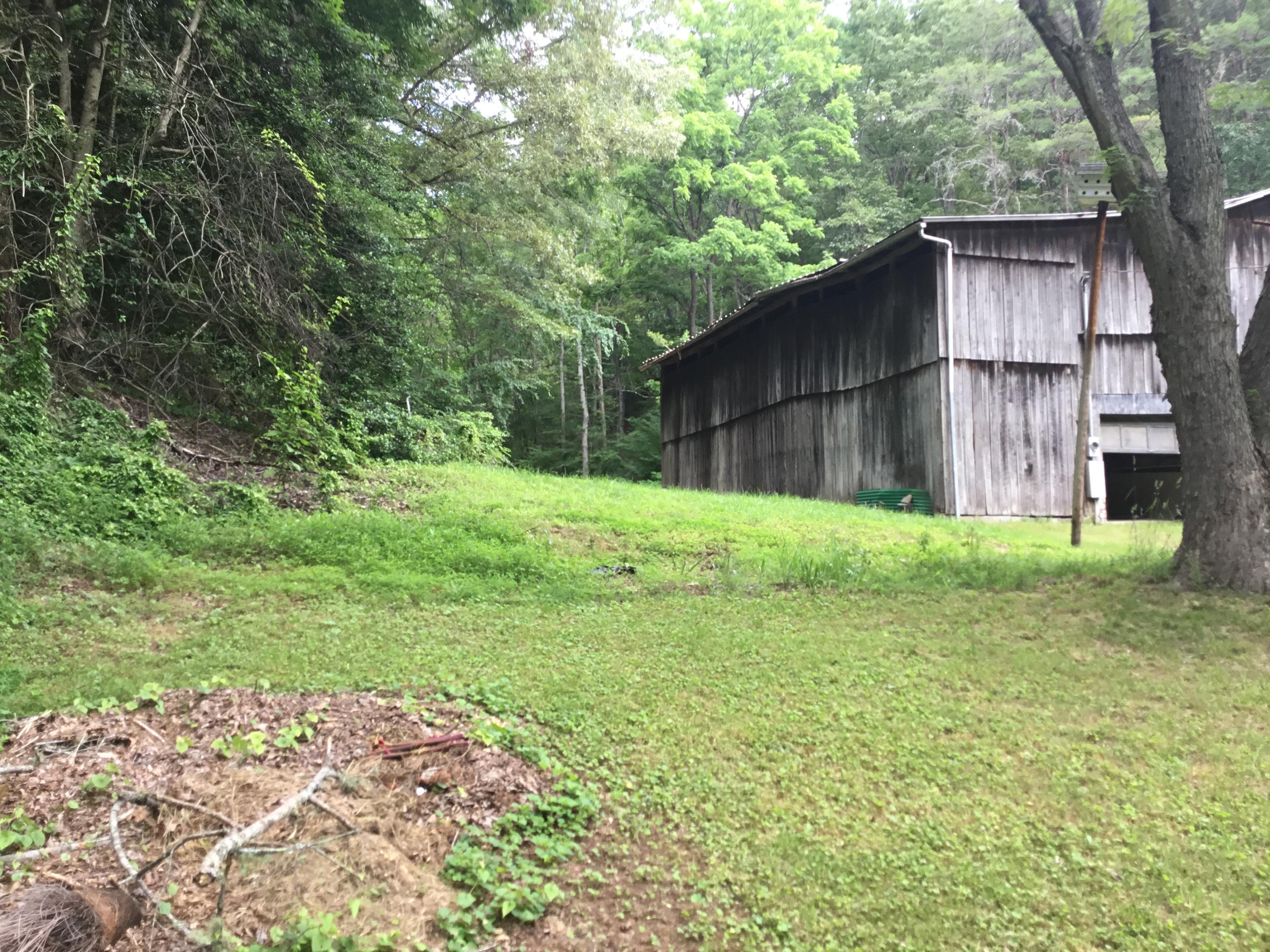 349 Texas Hollow Road Luttrell, TN 37779 - Photo 34 of 36 Yard