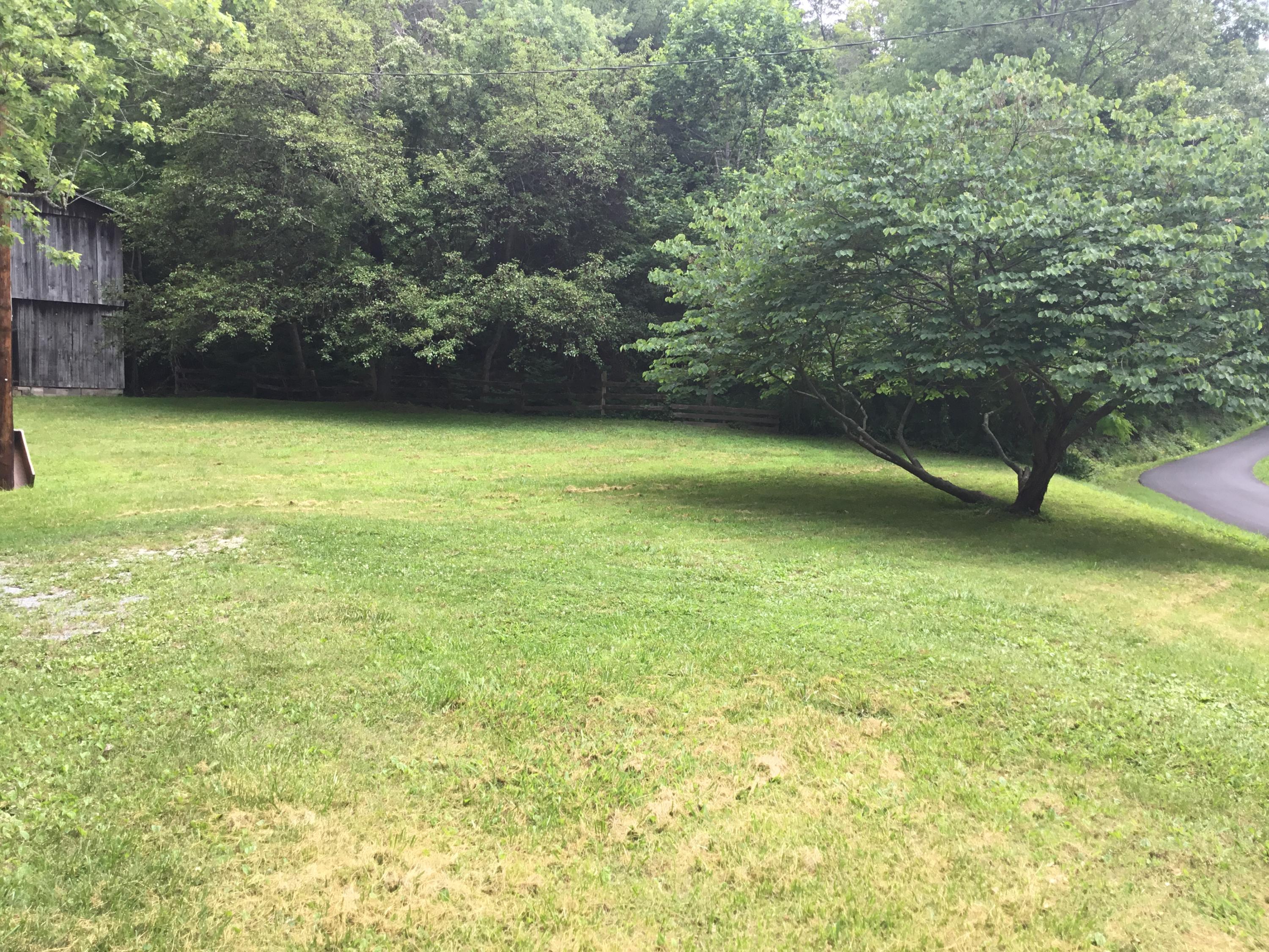 349 Texas Hollow Road Luttrell, TN 37779 - Photo 35 of 36 Yard