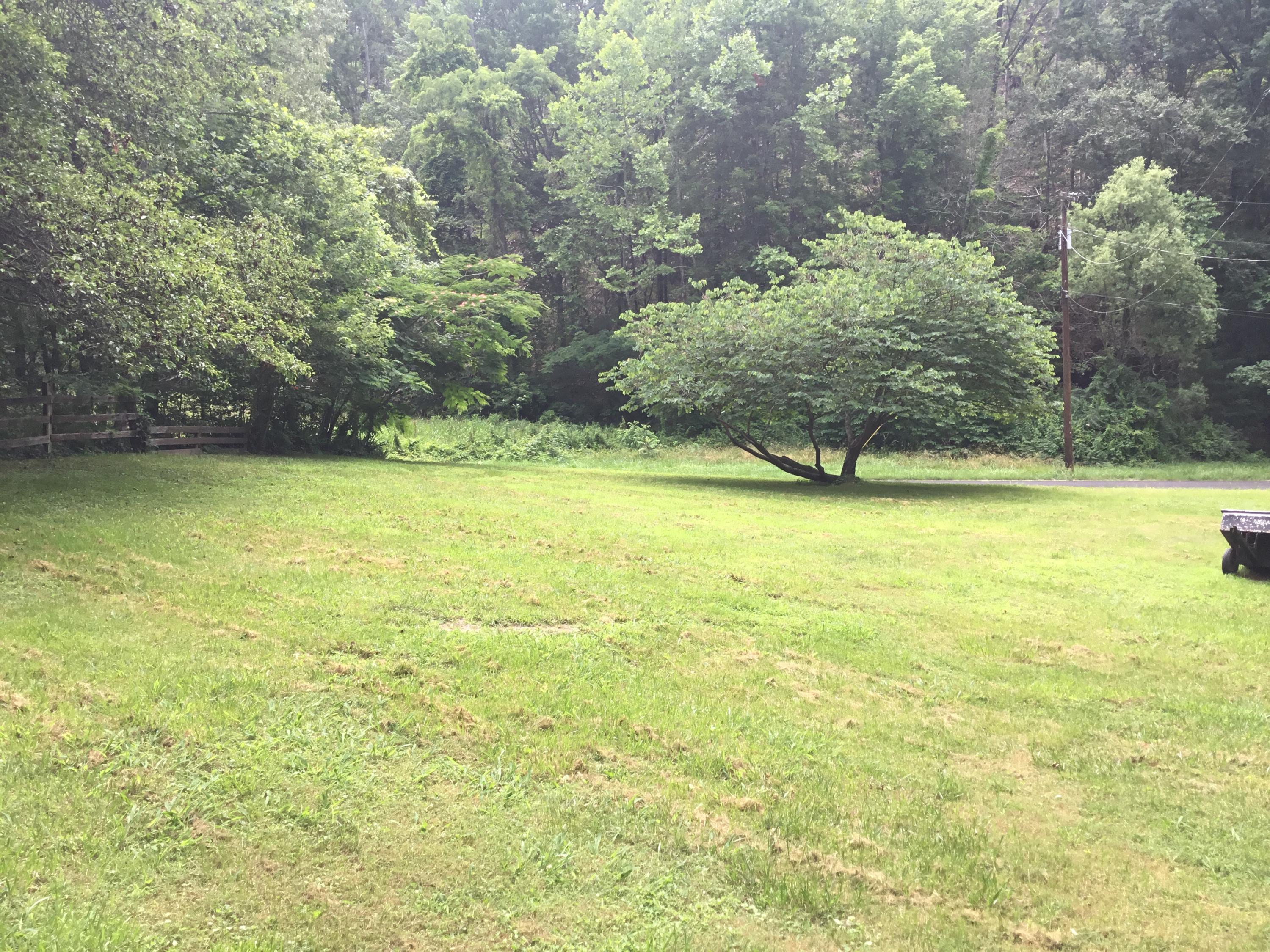 349 Texas Hollow Road Luttrell, TN 37779 - Photo 36 of 36 Yard