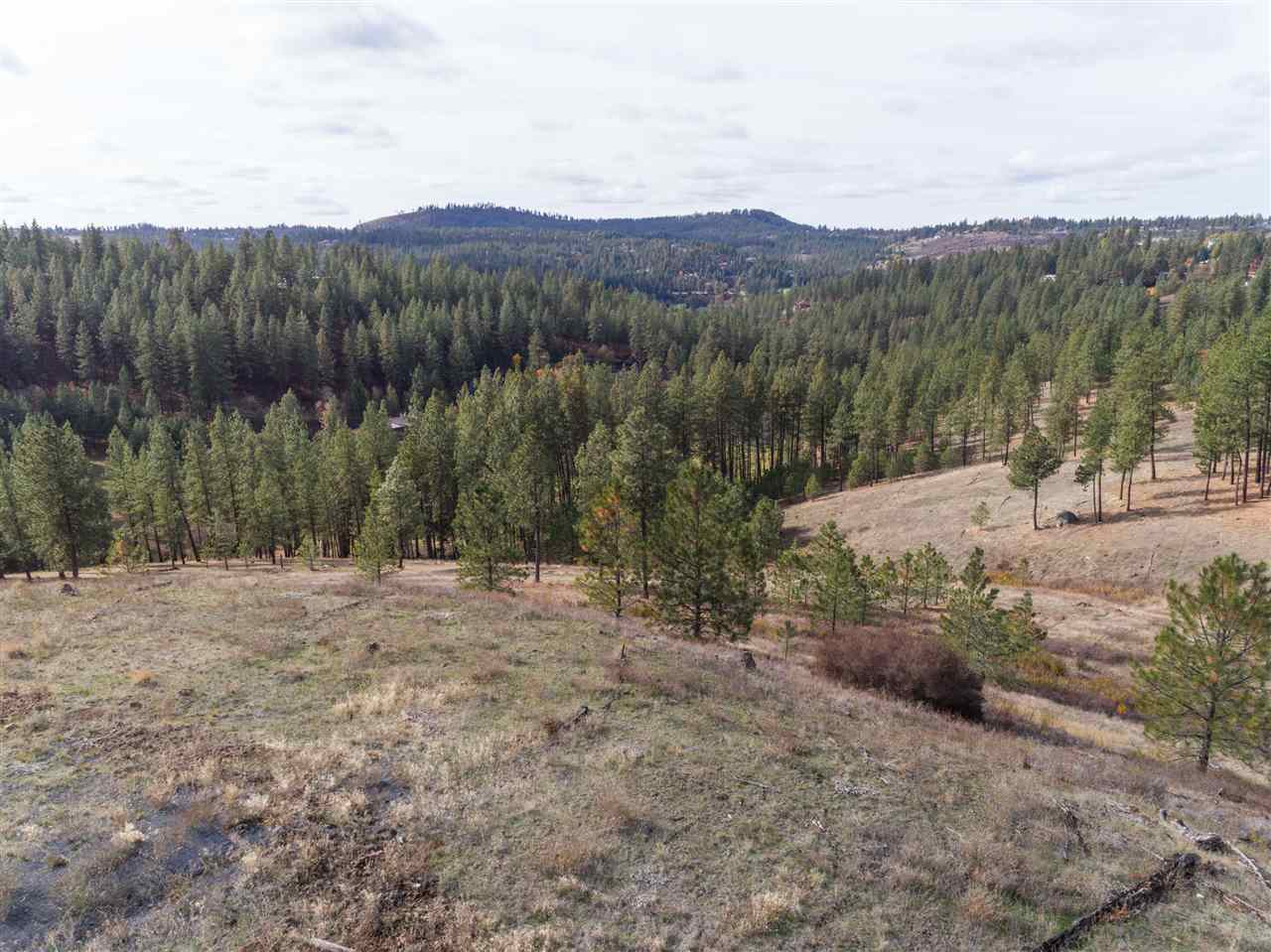 12298 South Valley Chapel Road Spokane, WA 99223 - Photo 1 of 14 Gallery Image 1
