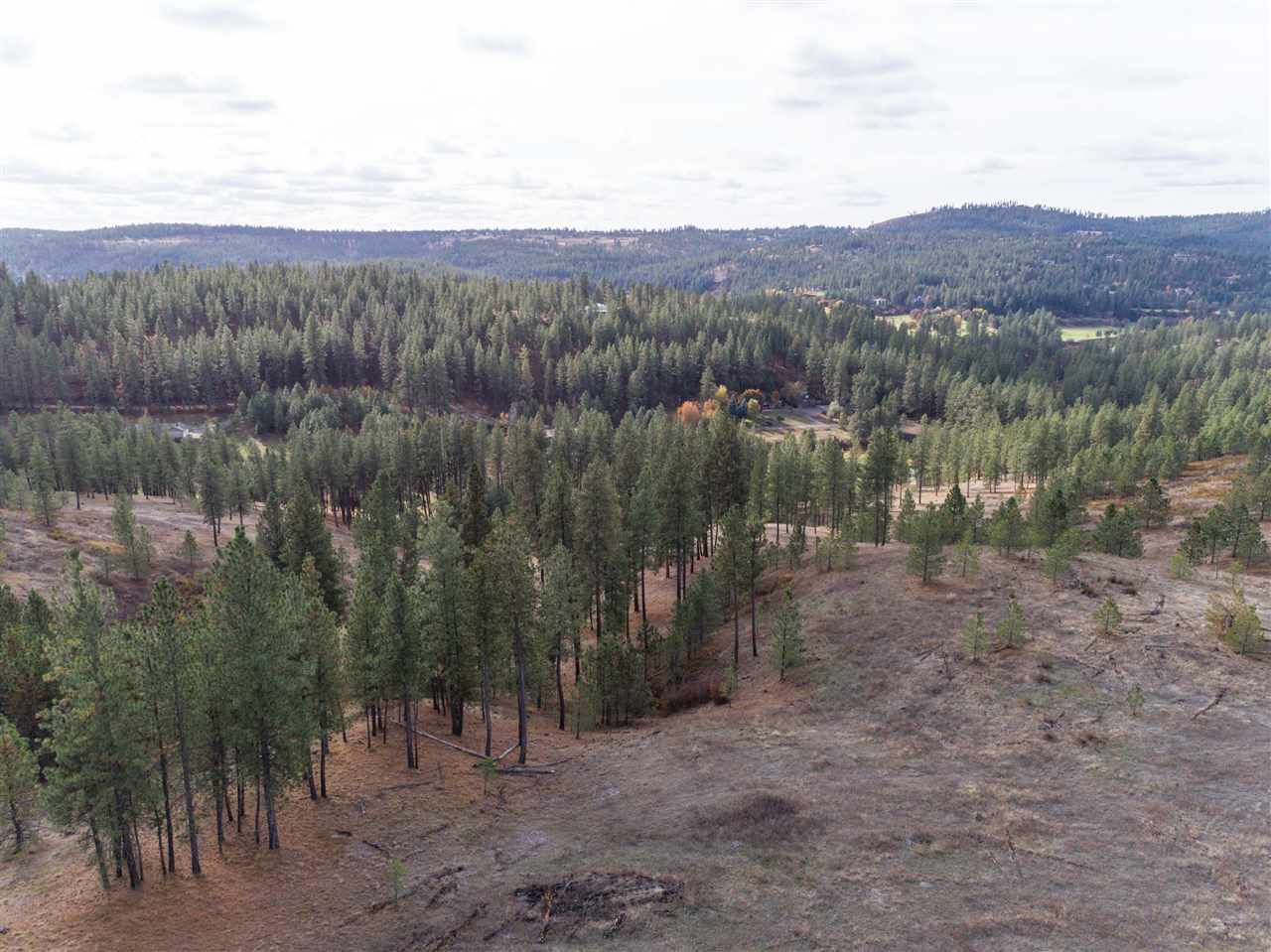 12298 South Valley Chapel Road Spokane, WA 99223 - Photo 2 of 14 Gallery Image 2