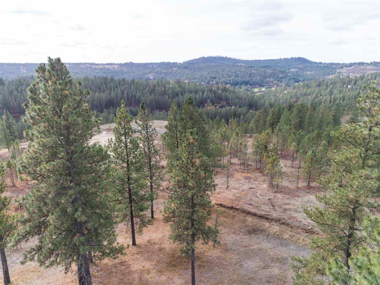 12298 South Valley Chapel Road Spokane, WA 99223 - Photo 13 of 14 Gallery Image 13