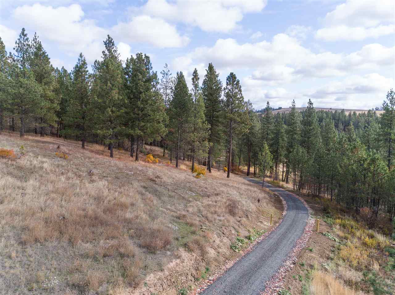 12298 South Valley Chapel Road Spokane, WA 99223 - Photo 3 of 14 Gallery Image 3