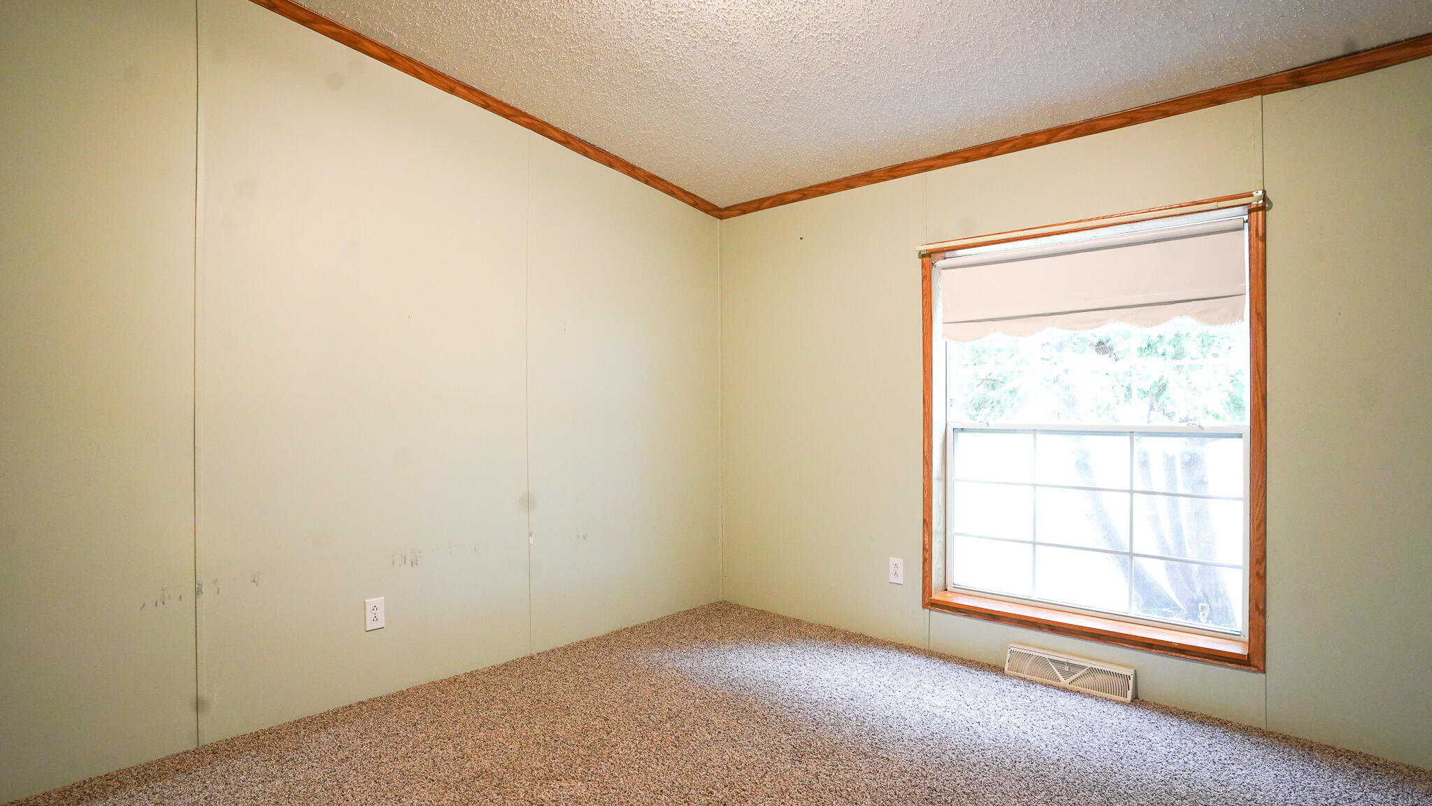 5701 Riverside Drive Lyons, MI 48851 - Photo 23 of 31 DSC07076