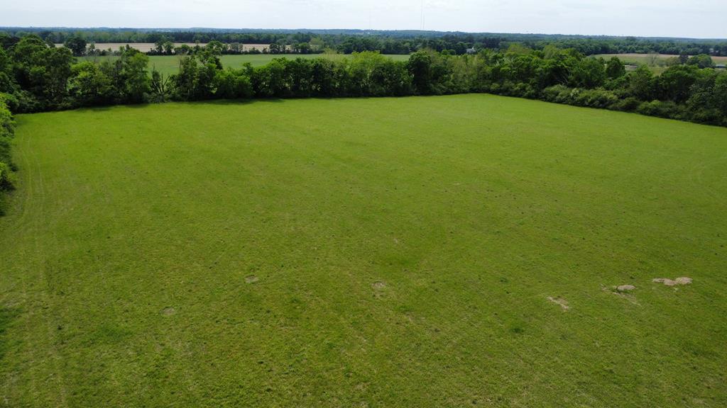 3536 Bill Yance Road Webb, AL 36376 - Photo 11 of 22