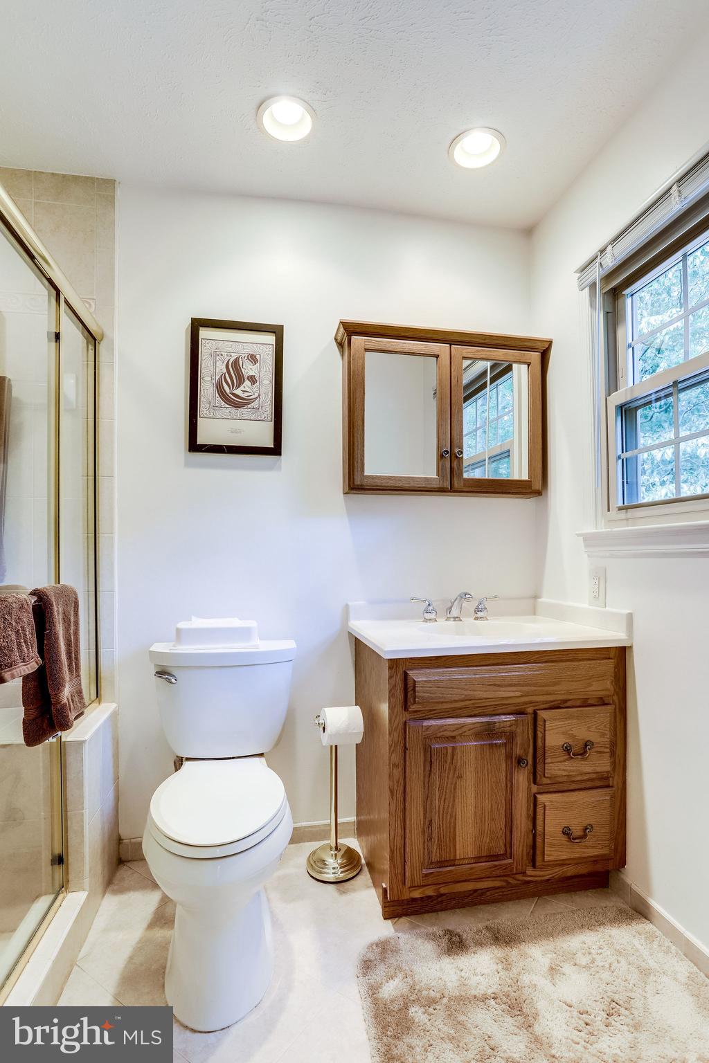 1905 Buckthorn Lane Reston, VA 20191 - Photo 23 of 52 Primary Bathroom Ensuite