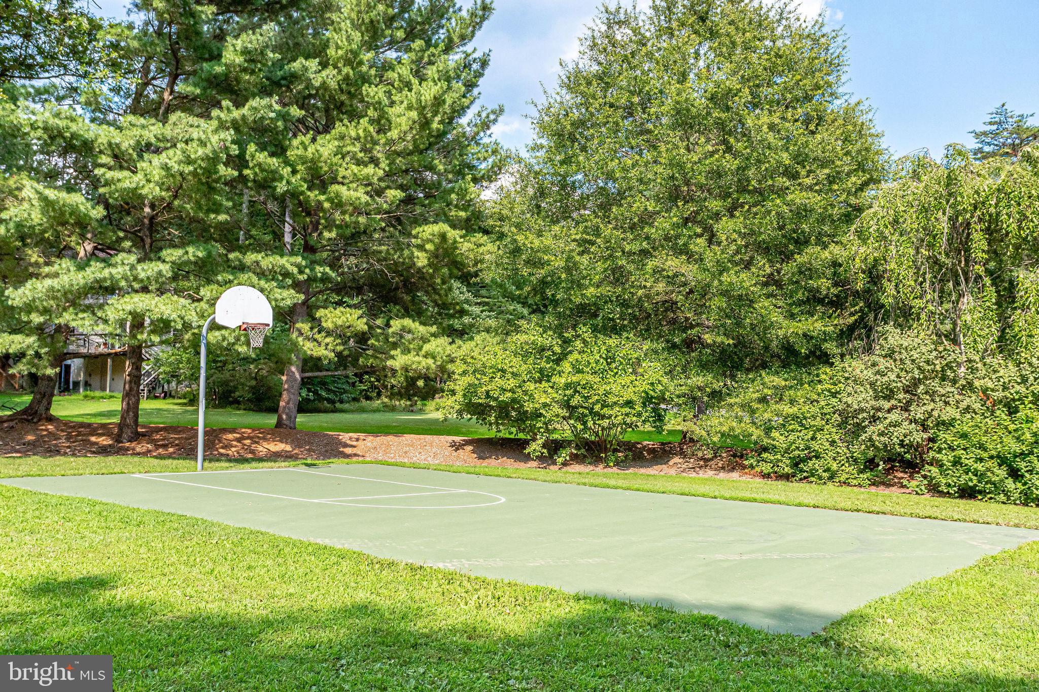 1905 Buckthorn Lane Reston, VA 20191 - Photo 33 of 52 Nearby Basketball Court