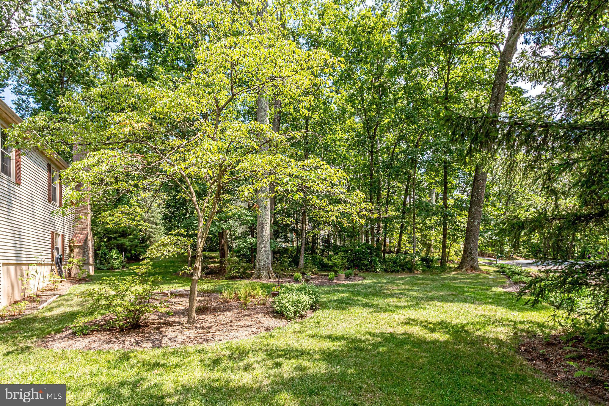 1905 Buckthorn Lane Reston, VA 20191 - Photo 36 of 52 Side Yard