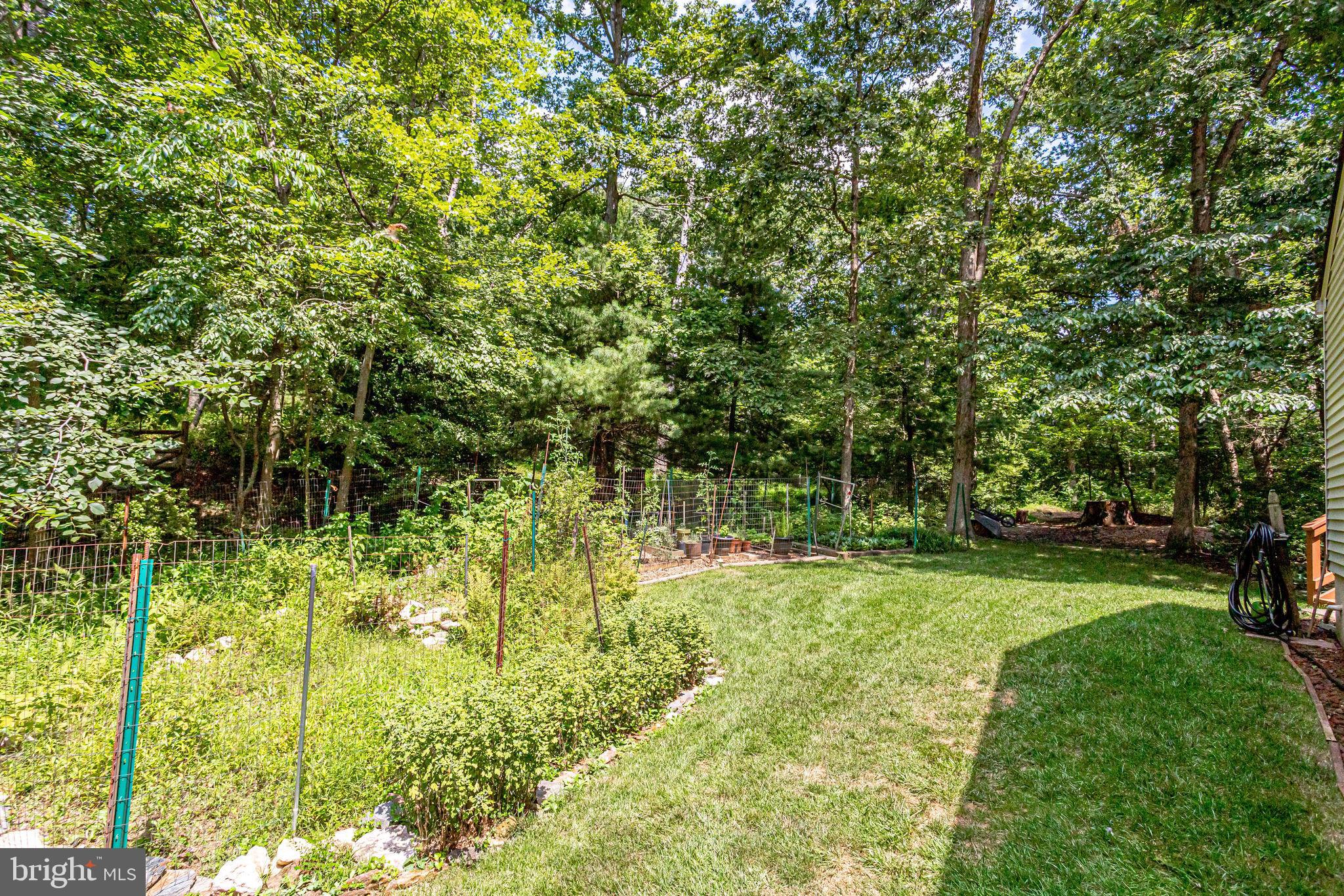 1905 Buckthorn Lane Reston, VA 20191 - Photo 41 of 52 Garden Area on Property