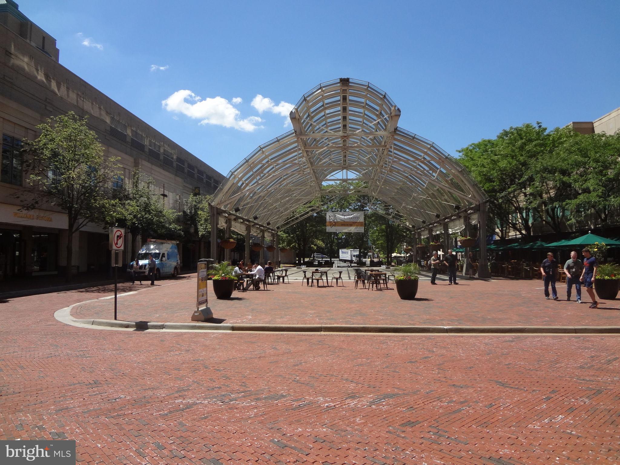 1905 Buckthorn Lane Reston, VA 20191 - Photo 48 of 52 Reston Town Center