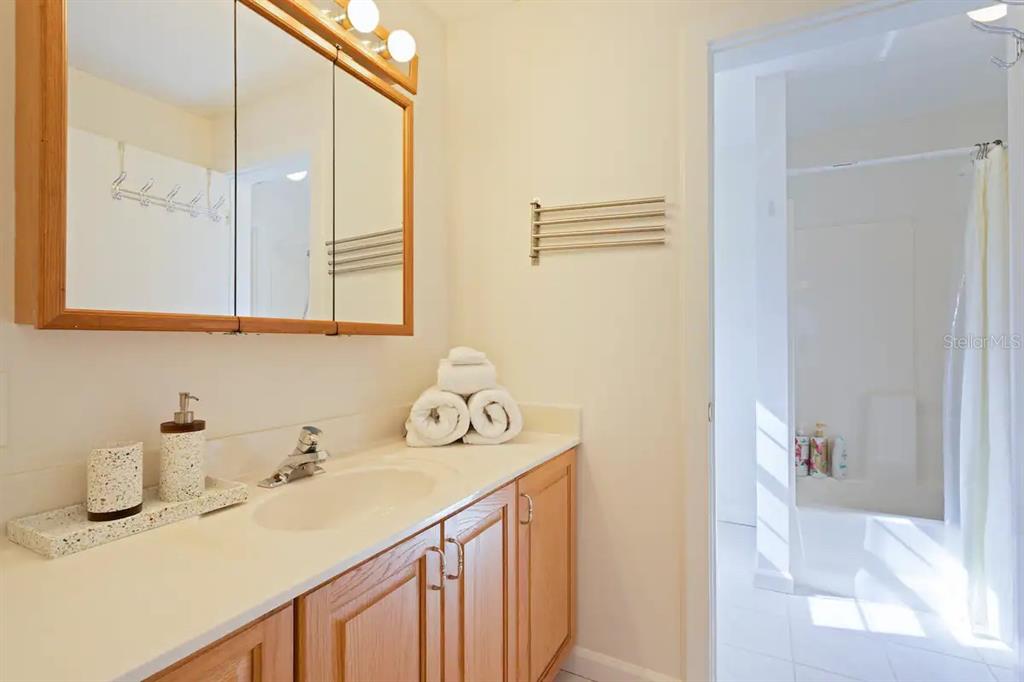 1411 Gray Street South Gulfport, FL 33707 - Photo 19 of 25 a bathroom with a sink and a mirror