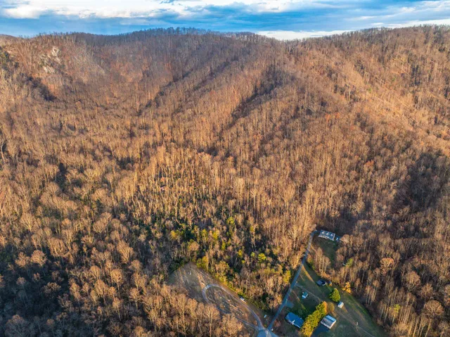 a view of mountain with view of trees in background