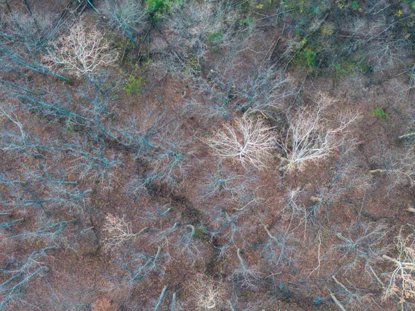 a view of backyard of a building