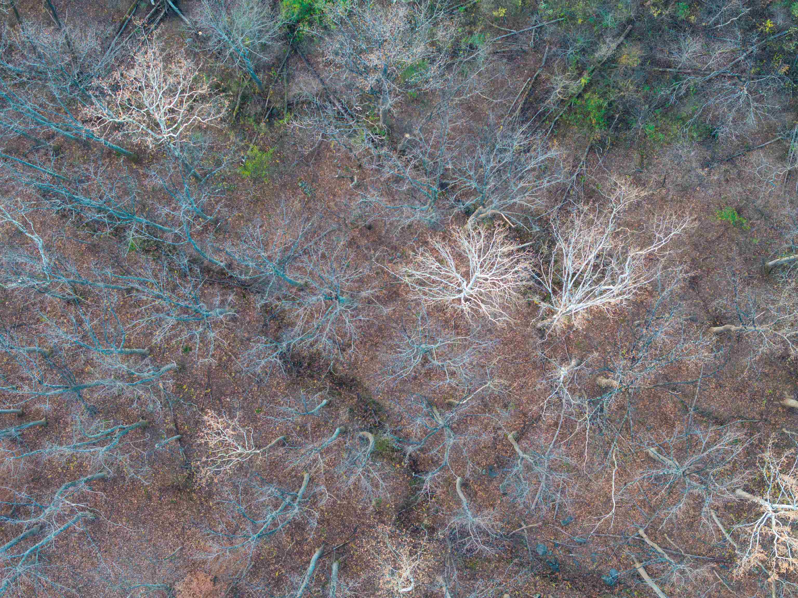 Tbd Ridge Street Lovingston, VA 22949 - Photo 14 of 35