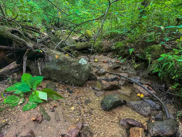 a view of outdoor space and garden