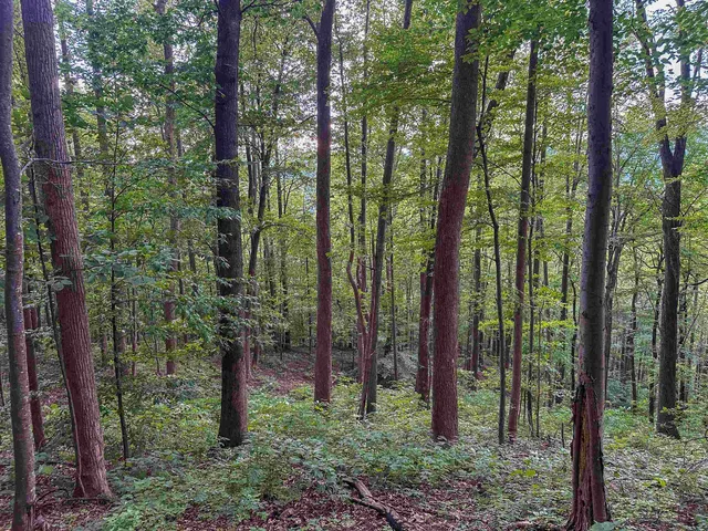 a view of an outdoor space with mountain view