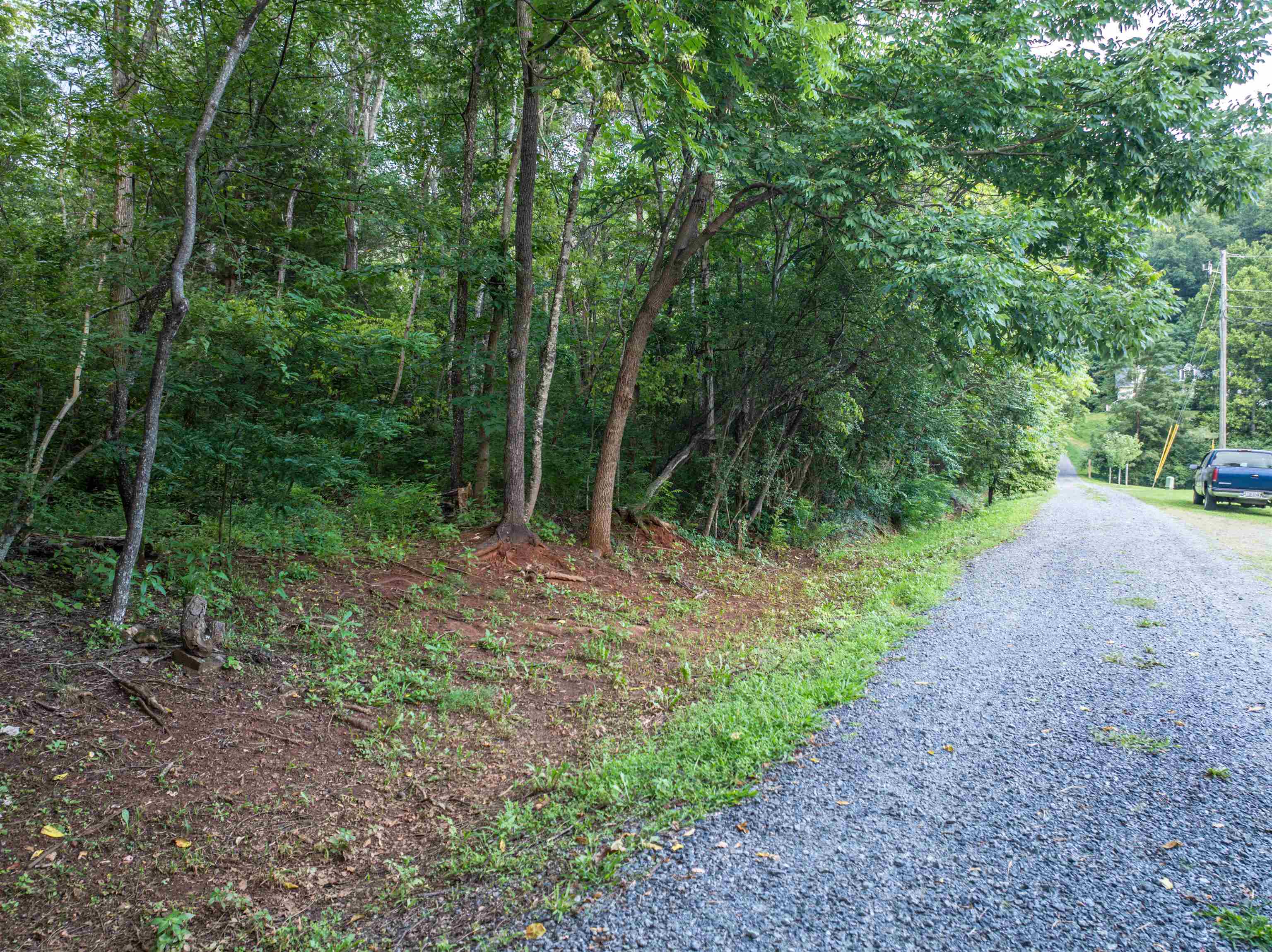 Tbd Ridge Street Lovingston, VA 22949 - Photo 4 of 35 a view of a forest with trees in the background