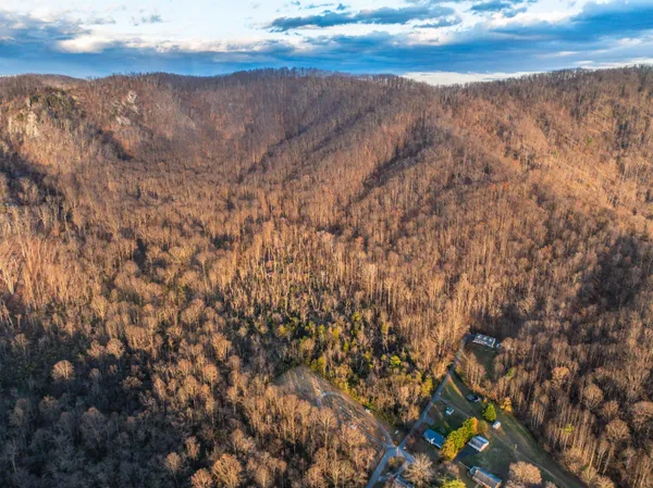 a view of yard and mountain view in back