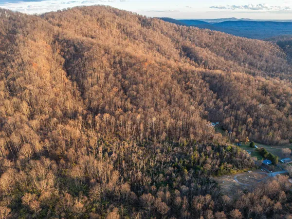 a small garden covered with trees
