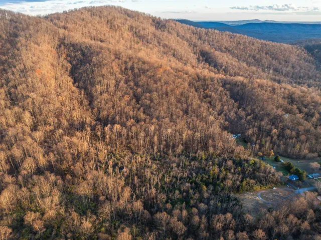 a small garden covered with trees