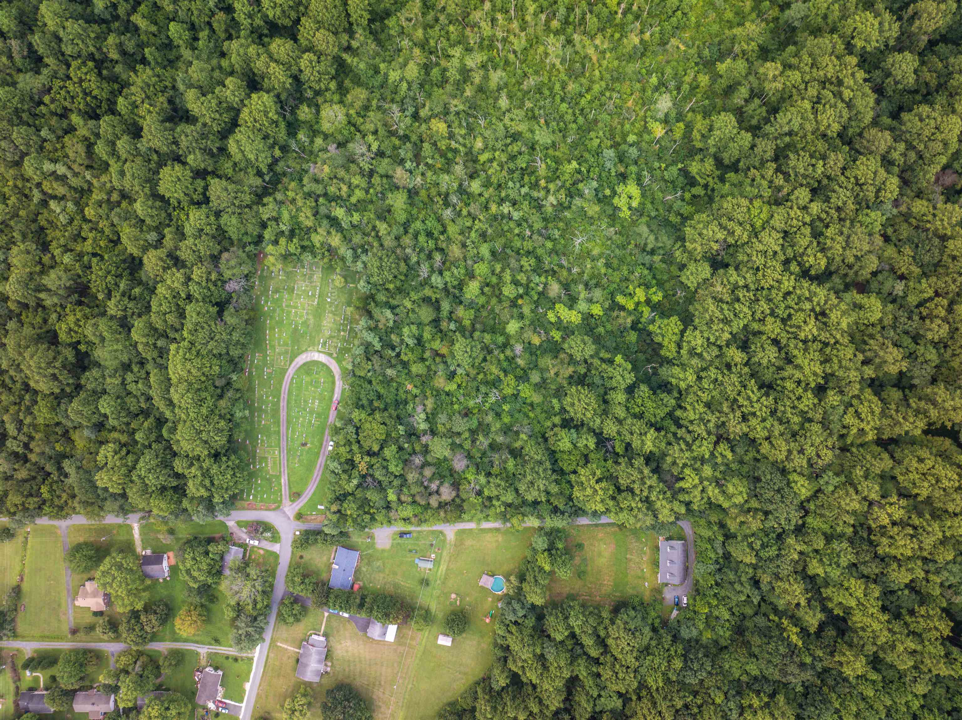 Tbd Ridge Street Lovingston, VA 22949 - Photo 9 of 35 a close up of a plant in a garden