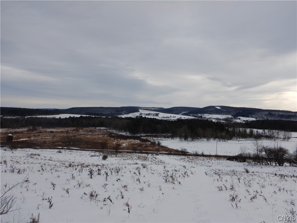 0 High Bridge Road De Ruyter, NY 13052 - Photo 1 of 1 Gallery Image 1