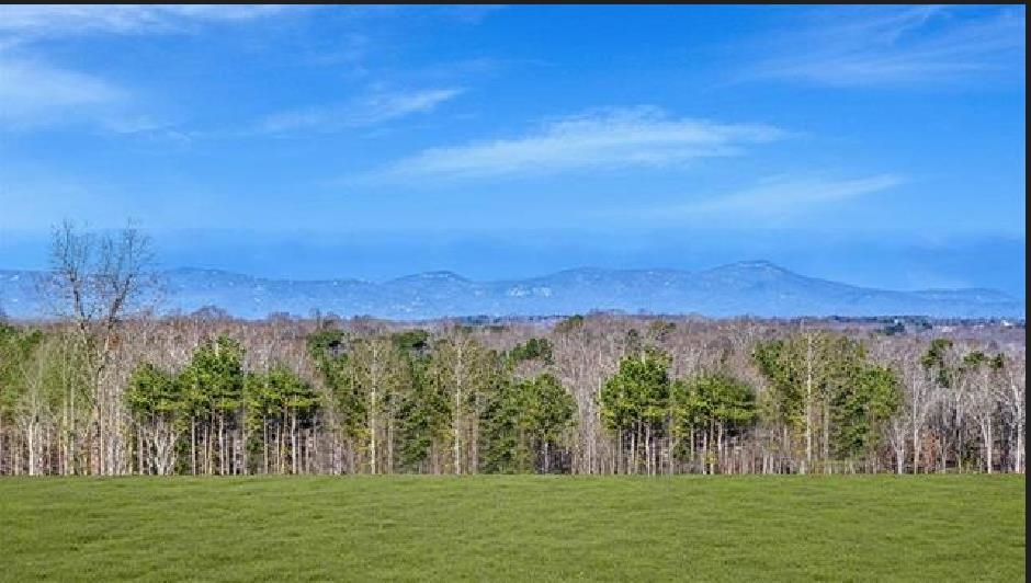 513 Sapling Gap Road Greer, SC 29651 - Photo 8 of 8 Gallery Image 8