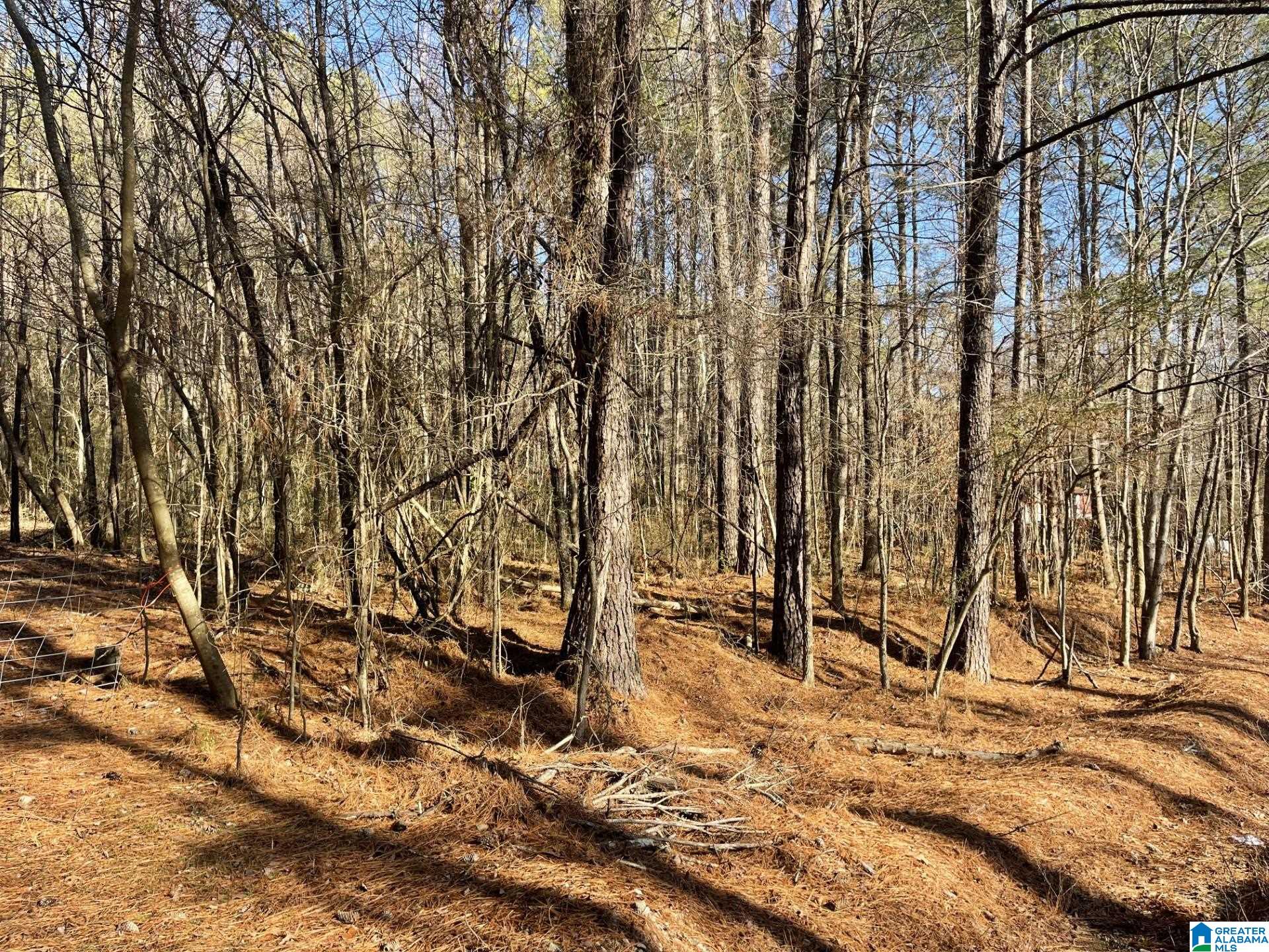 2438 Happy Top Road, Unit 1 Morris, AL 35116 - Photo 6 of 7