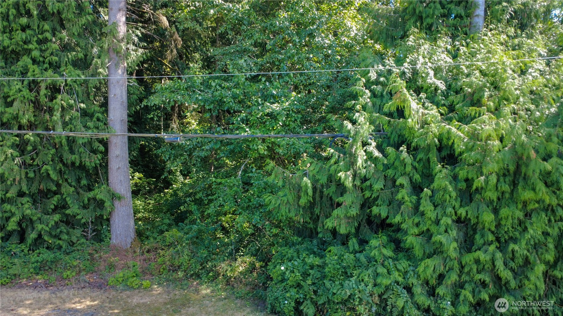 21306 Kelly Lake Road East Sumner, WA 98391 - Photo 6 of 10 Gallery Image 6
