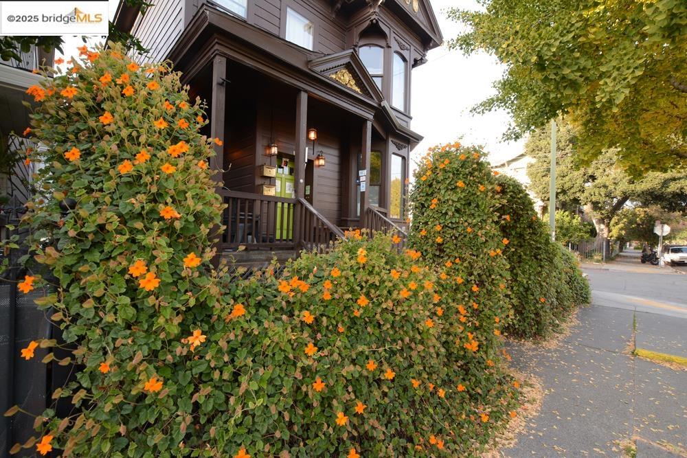 1633 8th Street Oakland, CA 94607 - Photo 51 of 56 front view of a house with a tree