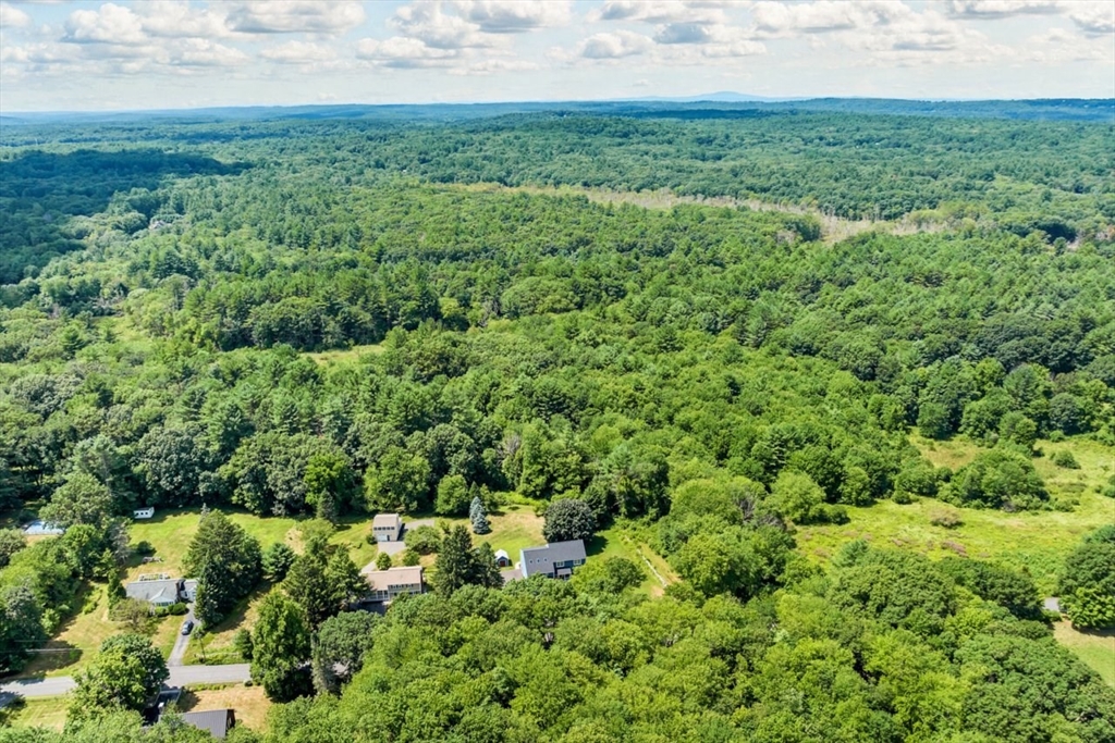 252 Littlefield Road Boxborough, MA 01719 - Photo 4 of 40 a view of a big yard with plants and large trees