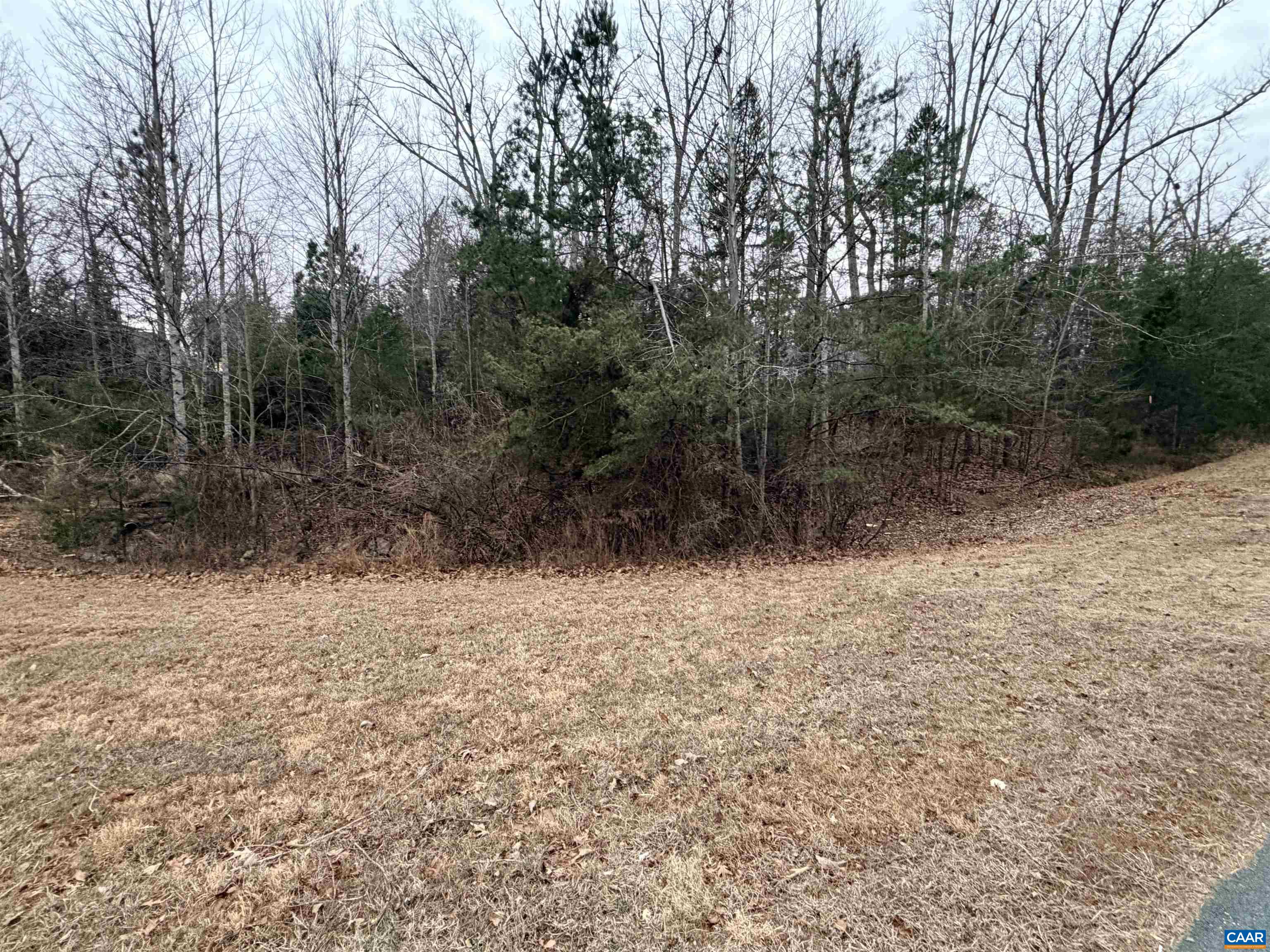 2 Goodman Lane Palmyra, VA 22963 - Photo 2 of 6 a view of a yard with trees