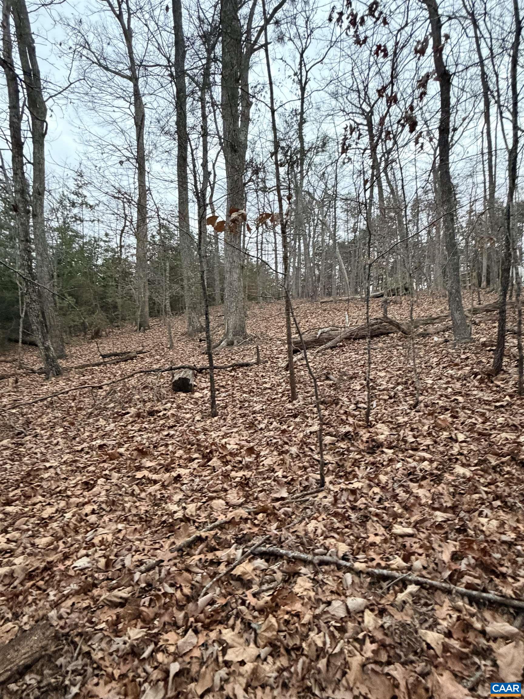 2 Goodman Lane Palmyra, VA 22963 - Photo 4 of 6 a backyard of a house with lots of green space