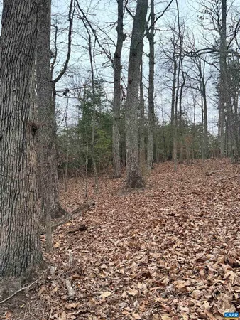 $129,900 | 2 Goodman Lane, Palmyra, VA 22963
