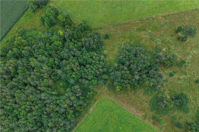 $345,600 | Tbd-72-ac Tbd-72-ac 355th Avenue, Hillman, MN 56338