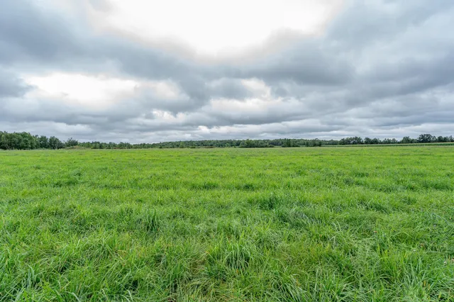 $345,600 | Tbd-72-ac Tbd-72-ac 355th Avenue, Hillman, MN 56338