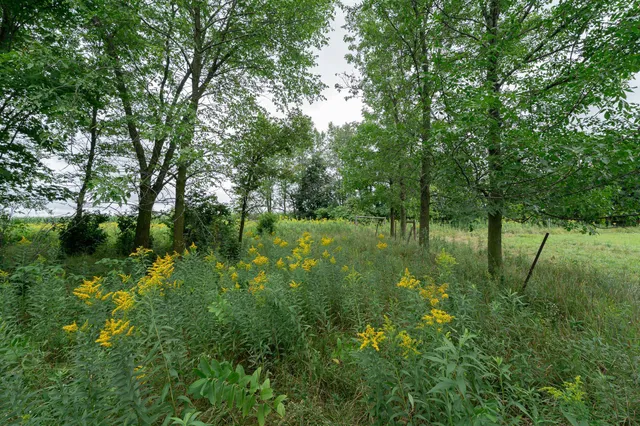 $345,600 | Tbd-72-ac Tbd-72-ac 355th Avenue, Hillman, MN 56338