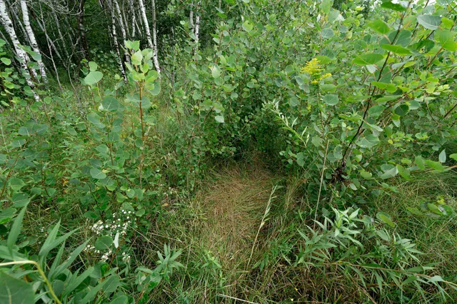 $345,600 | Tbd-72-ac Tbd-72-ac 355th Avenue, Hillman, MN 56338