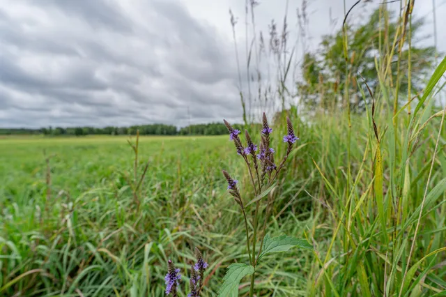 $345,600 | Tbd-72-ac Tbd-72-ac 355th Avenue, Hillman, MN 56338