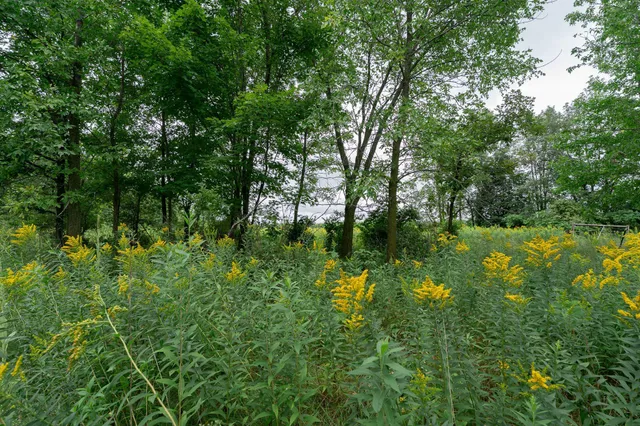 $345,600 | Tbd-72-ac Tbd-72-ac 355th Avenue, Hillman, MN 56338