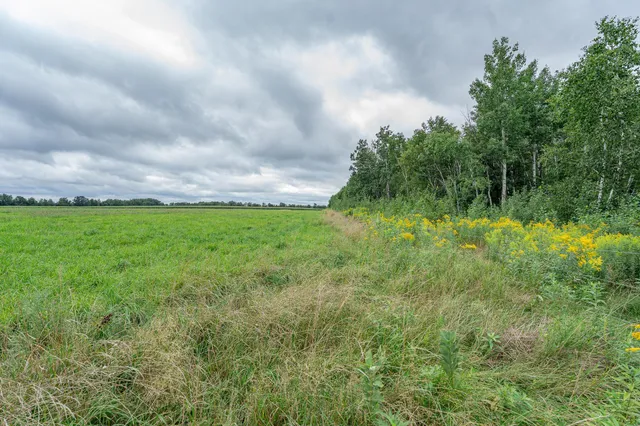 $345,600 | Tbd-72-ac Tbd-72-ac 355th Avenue, Hillman, MN 56338